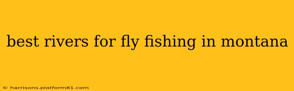 best rivers for fly fishing in montana