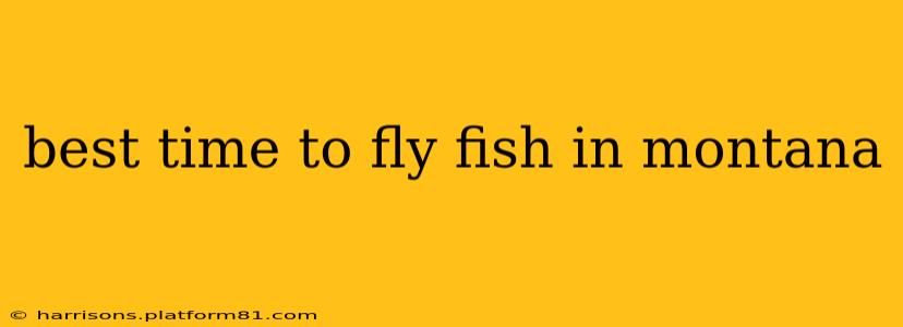 best time to fly fish in montana