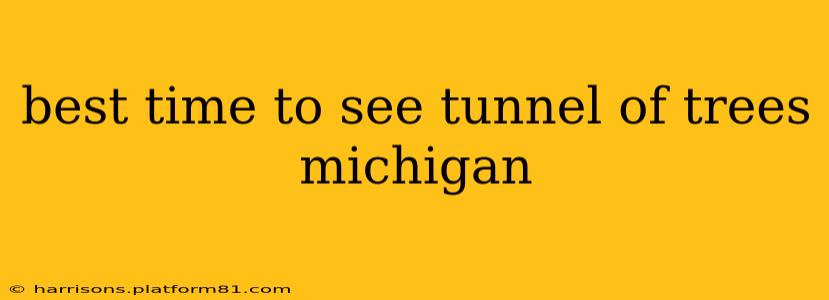 best time to see tunnel of trees michigan