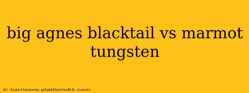 big agnes blacktail vs marmot tungsten