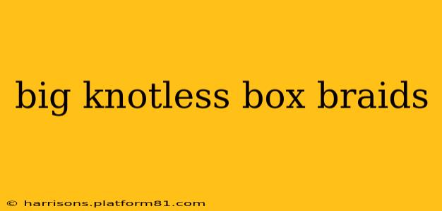 big knotless box braids