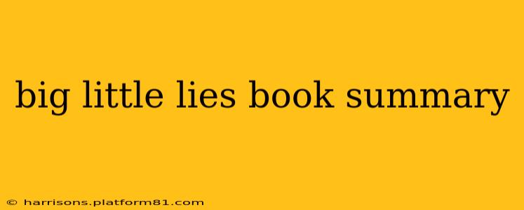 big little lies book summary
