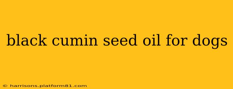 black cumin seed oil for dogs