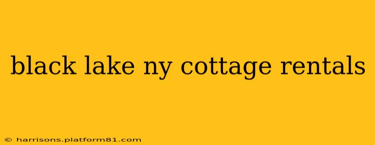 black lake ny cottage rentals