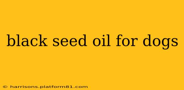 black seed oil for dogs