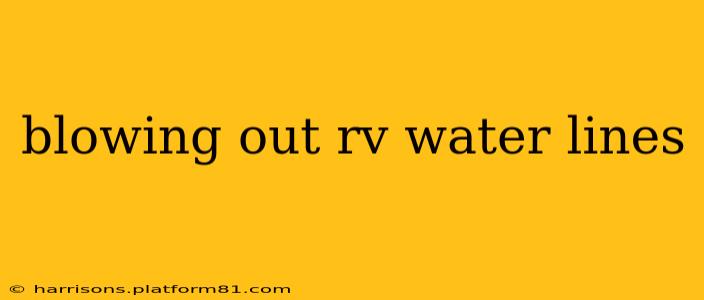 blowing out rv water lines