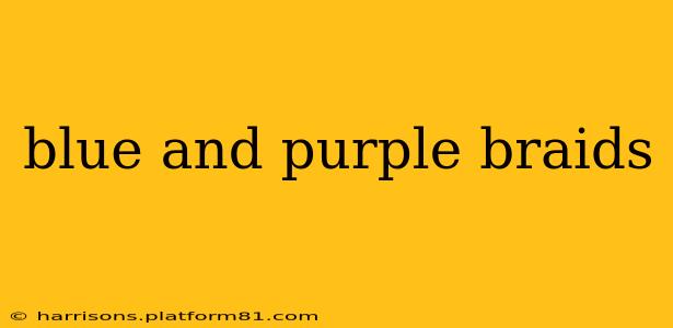 blue and purple braids