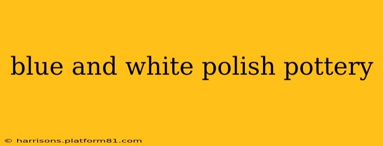 blue and white polish pottery