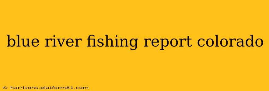 blue river fishing report colorado