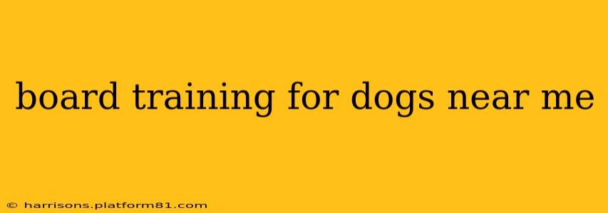 board training for dogs near me