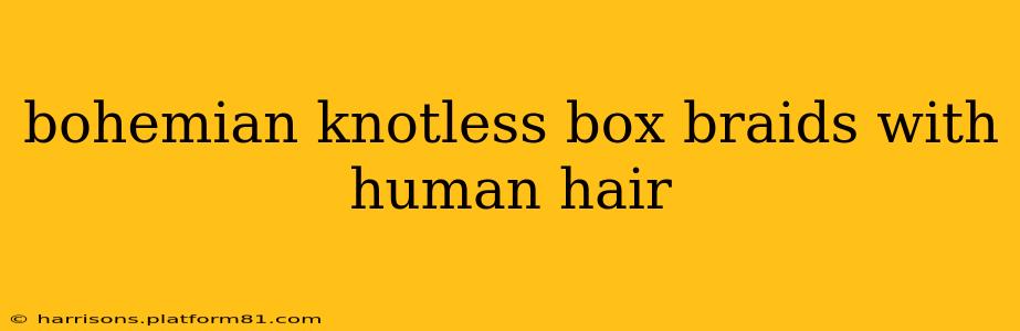 bohemian knotless box braids with human hair