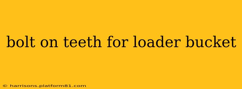 bolt on teeth for loader bucket