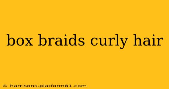 box braids curly hair