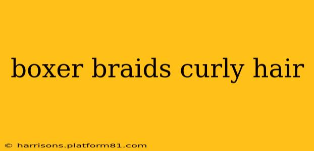 boxer braids curly hair