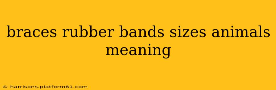 braces rubber bands sizes animals meaning
