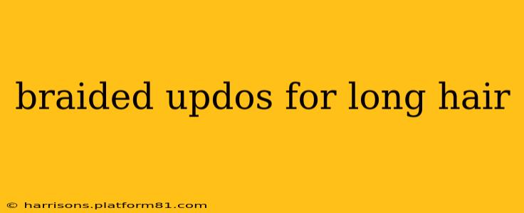 braided updos for long hair