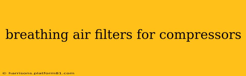 breathing air filters for compressors
