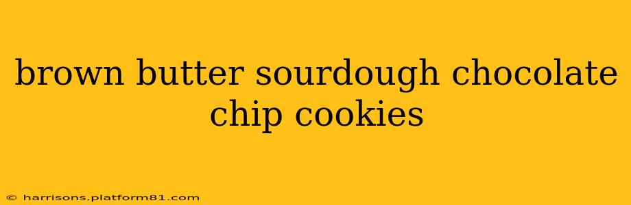 brown butter sourdough chocolate chip cookies