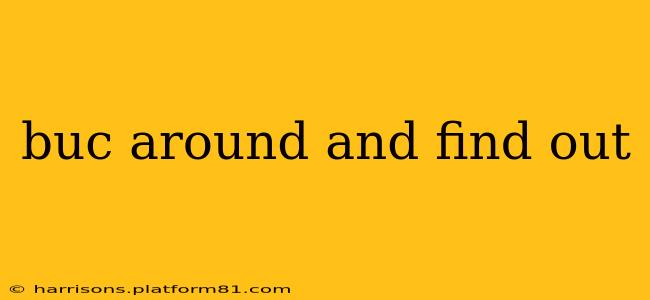 buc around and find out buc around and find out