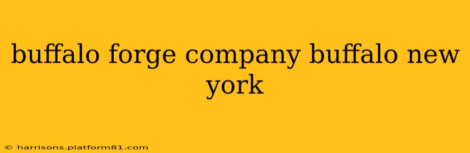 buffalo forge company buffalo new york