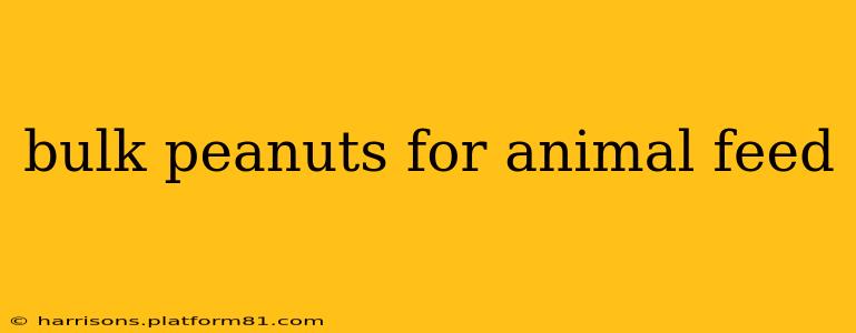 bulk peanuts for animal feed