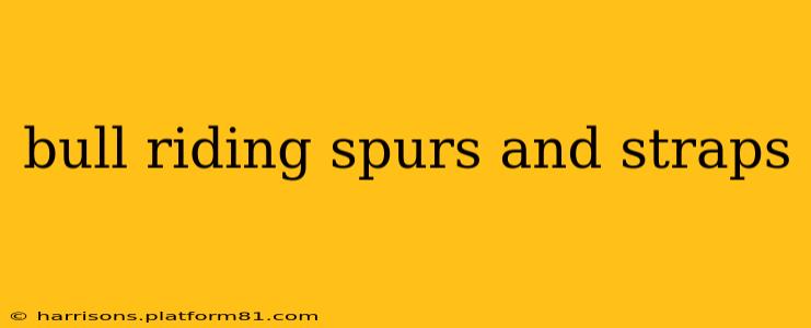 bull riding spurs and straps