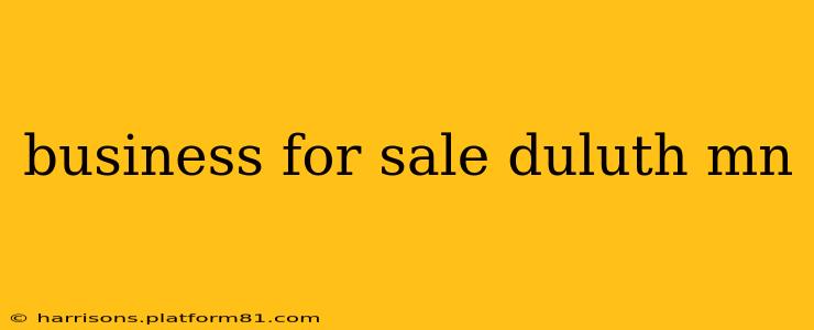 business for sale duluth mn