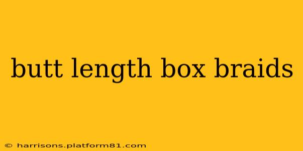 butt length box braids