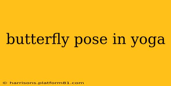 butterfly pose in yoga