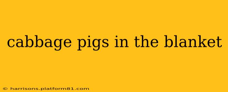cabbage pigs in the blanket