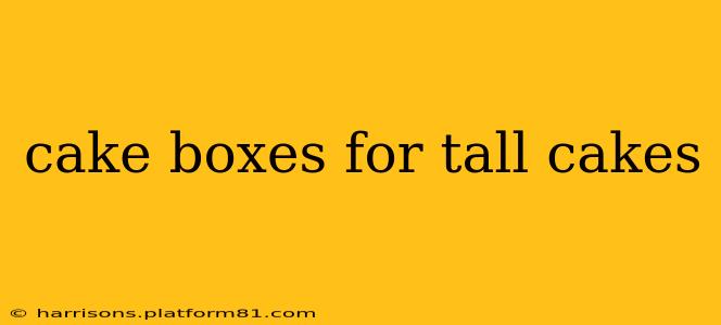 cake boxes for tall cakes