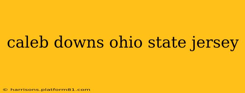 caleb downs ohio state jersey