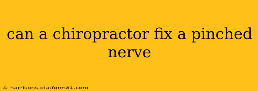 can a chiropractor fix a pinched nerve