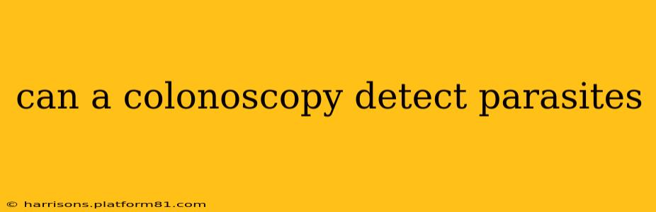 can a colonoscopy detect parasites