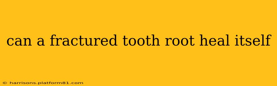 can a fractured tooth root heal itself