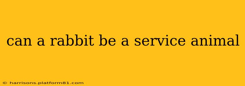 can a rabbit be a service animal