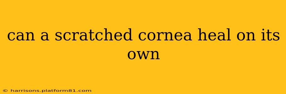 can a scratched cornea heal on its own