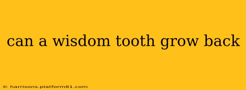 can a wisdom tooth grow back