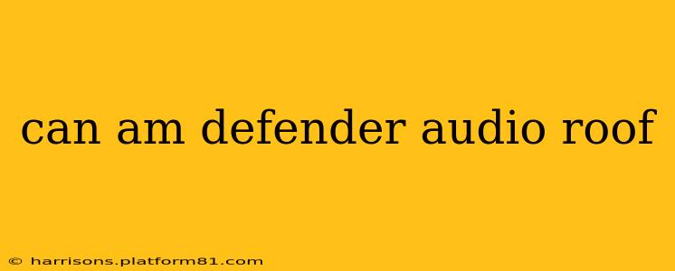can am defender audio roof