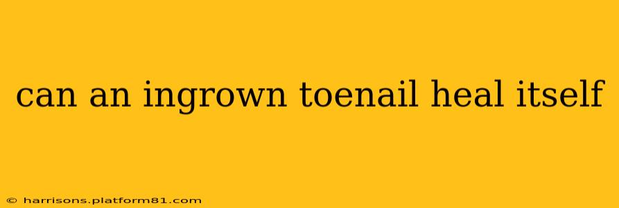 can an ingrown toenail heal itself