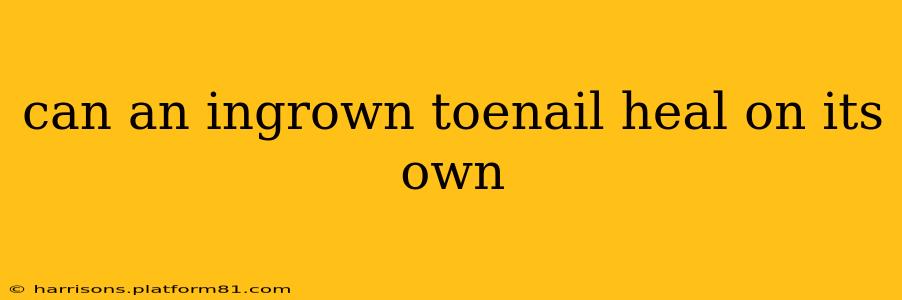 can an ingrown toenail heal on its own