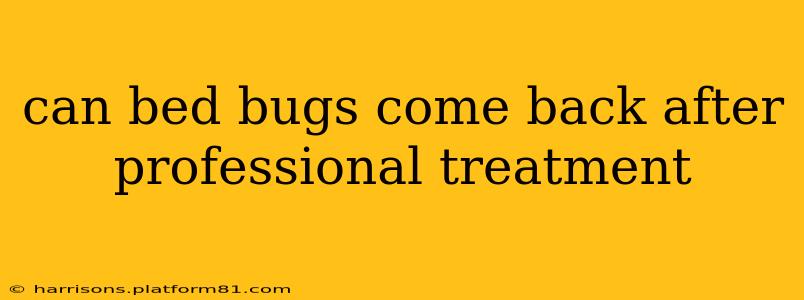 can bed bugs come back after professional treatment