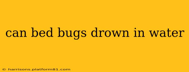 can bed bugs drown in water