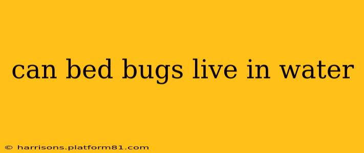 can bed bugs live in water