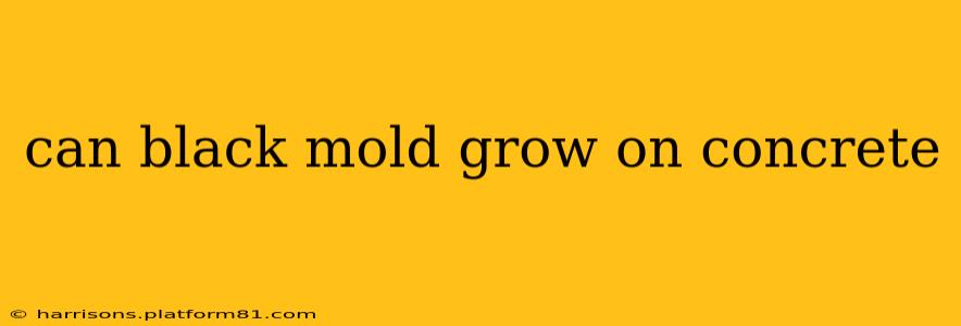 can black mold grow on concrete
