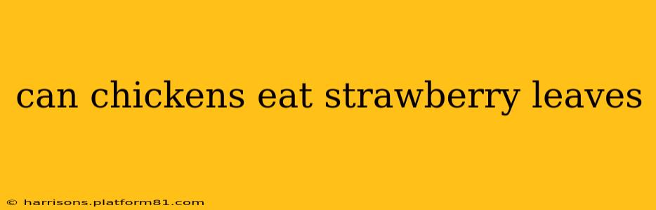 can chickens eat strawberry leaves