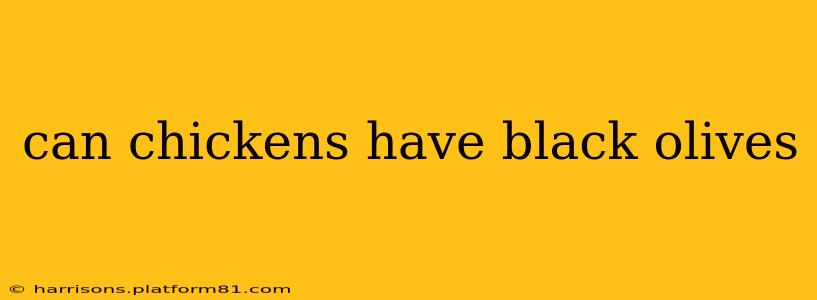 can chickens have black olives