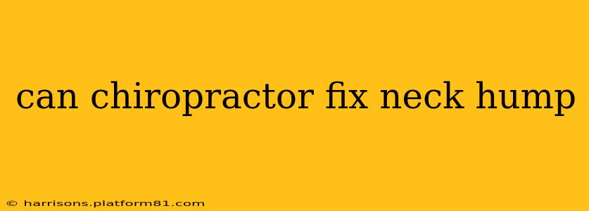 can chiropractor fix neck hump
