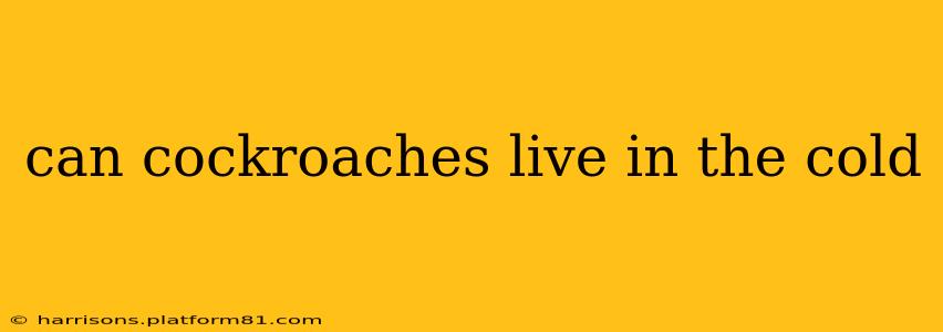 can cockroaches live in the cold