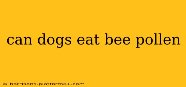 can dogs eat bee pollen